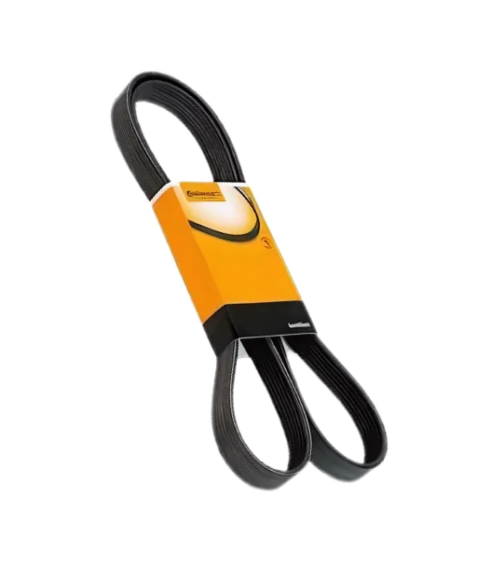 4PK 0698 CORREIA CONTINENTAL/CONTITECH